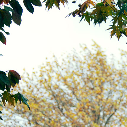 MARWAN HOURANY, 0-10 1