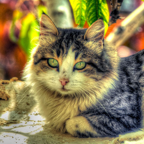 MARWAN HOURANY, 0-10 12